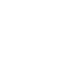 Asset 8